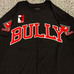 Chicago Bulls Bully Men's Tee Shirt size Large New